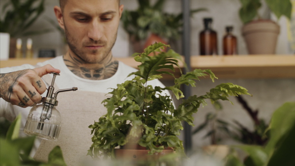 Young man florist standing in flower and plant shop, spraying plants with water.