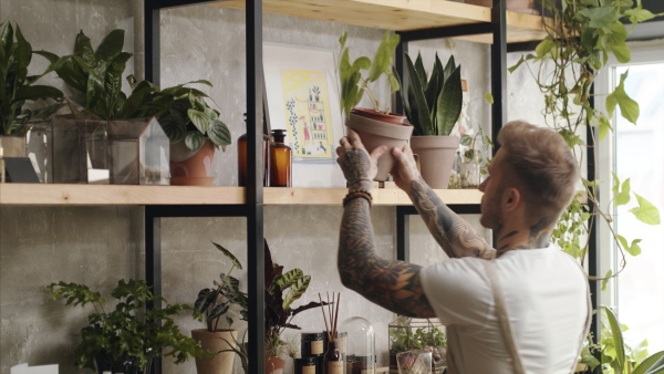 Young man florist working in flower and plant shop.