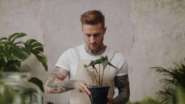 Young man florist working in flower and plant shop.