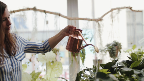 Woman florist standing in flower and plant shop, watering flowers with can.