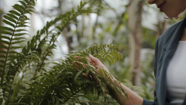 A female researcher standing in botanical garden, exploring plants.