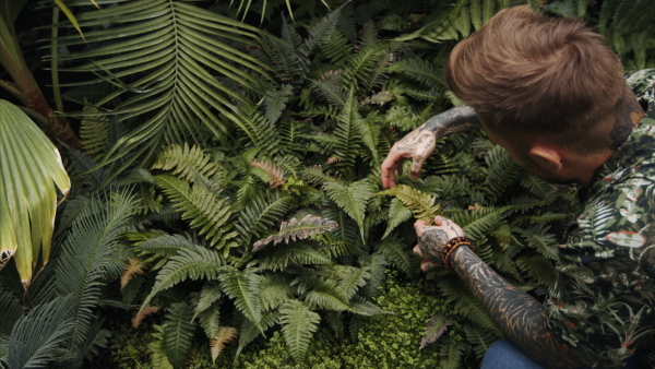 A top view of man researcher in botanical garden, exploring plants.