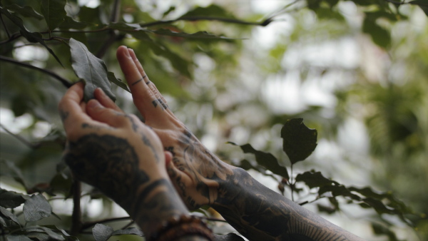 A midsection of male researcher standing in botanical garden, exploring plants.