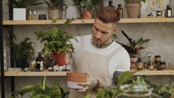 Young man florist working in flower and plant shop.