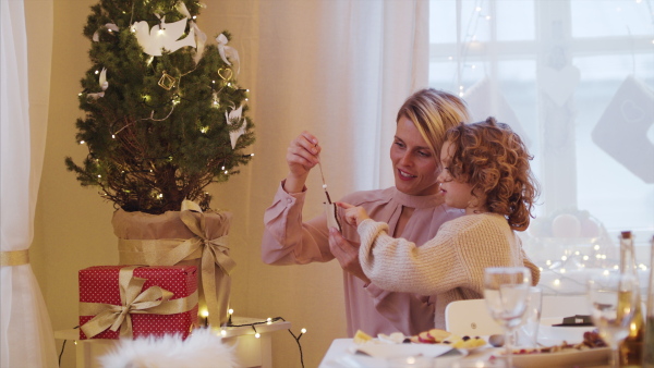 Portrait of small girl with mother indoors celebrating Christmas together, decorating tree.