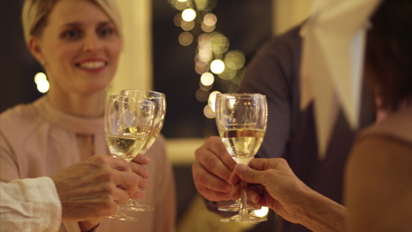 Portrait of extended family indoors at Christmas, clinking glasses with wine.