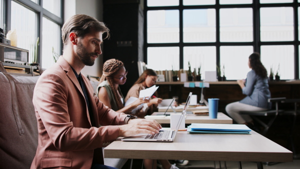 Portrait of group of young businesspeople with laptop sitting and working indoors in office.