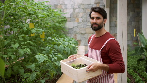 Portrait of man gardener with apron and wooden box standing in greenhouse, looking at camera.