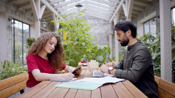 Side view of young man and woman working indoors in office, using laptop and tablet.