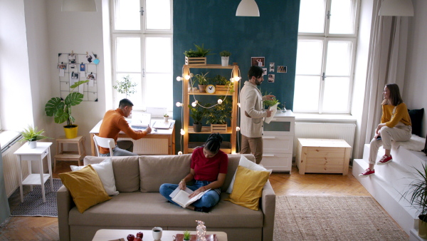 A group of young friends indoors, house sharing concept.