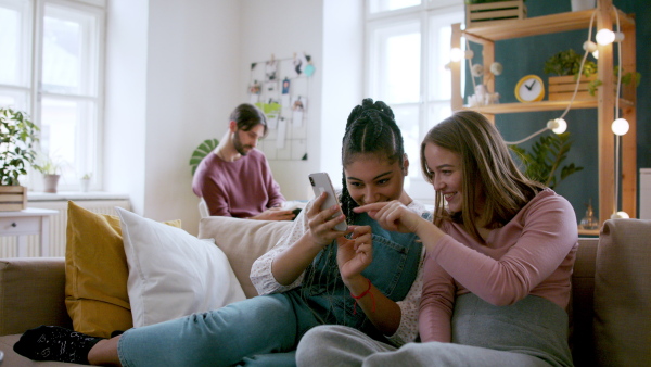 Young friends with smartphone sitting on sofa, house sharing concept.