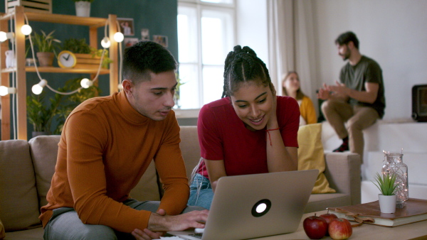 A group of young flatmates with laptop, house sharing concept.