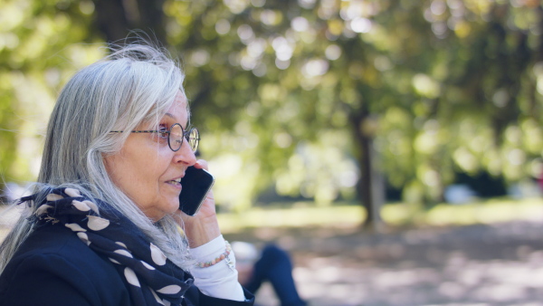 Portrait of senior woman sitting and working outdoors on bench in city, using smartphone.