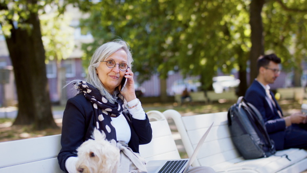 Portrait of senior woman sitting and working outdoors on bench in city, using laptop and smartphone.