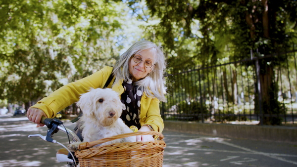 Woman with face mask, dog and bicycle standing outdoors in city, looking at camera.