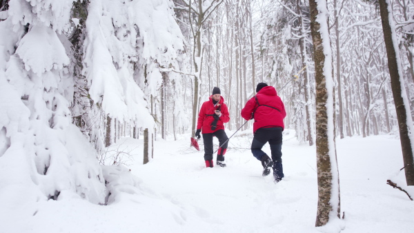 Mountain rescue service on operation outdoors in winter in forest, looking for burried person in snow.