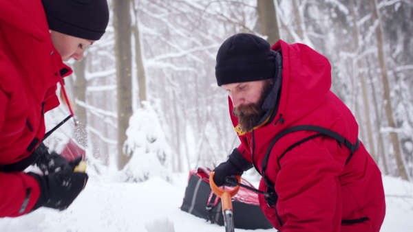 Mountain rescue service on operation outdoors in winter in forest, looking for burried person in snow.