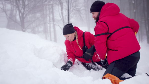 Mountain rescue service on operation outdoors in winter in forest, looking for burried person in snow.