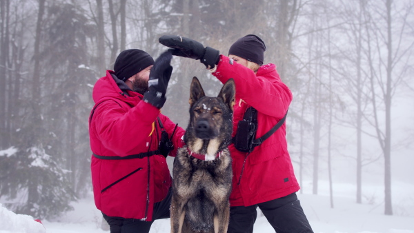 Mountain rescue service with dog on operation outdoors in winter in forest, celebrating and looking at camera.