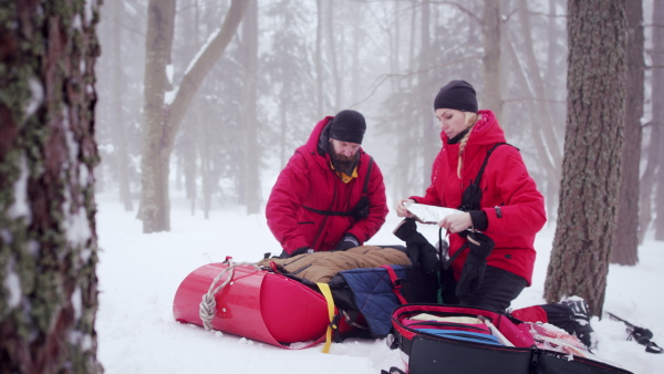 Paramedics from mountain rescue service provide operation outdoors in winter in forest, injured person in stretcher.