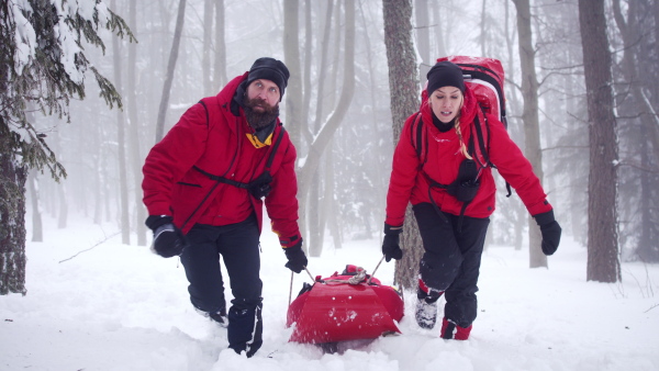 Paramedics from mountain rescue service provide operation outdoors in winter in forest, pulling injured person in stretcher.