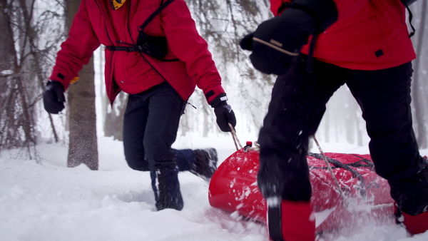 Paramedics from mountain rescue service provide operation outdoors in winter in forest, pulling injured person in stretcher.