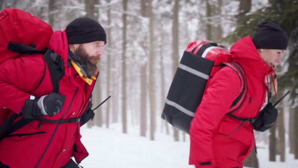 Side view of man and woman paramedics from mountain rescue service running outdoors in winter in forest.