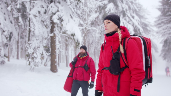 Man and woman paramedics from mountain rescue service outdoors in winter in forest, looking at camera.