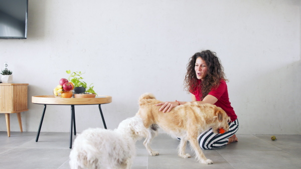 Portrait of woman indoors at home, playing with and training two pet dogs.