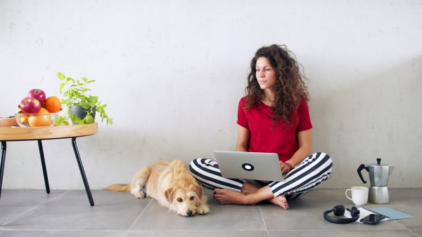 Portrait of woman with pet dog indoors at home, using laptop.