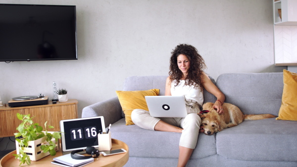 Woman with pet dog sitting on sofa indoors at home, using laptop.