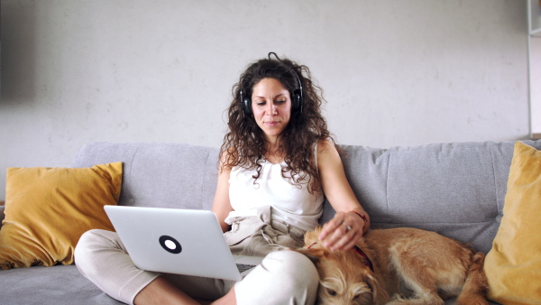 Woman with pet dog sitting on sofa indoors at home, using headphones and laptop.