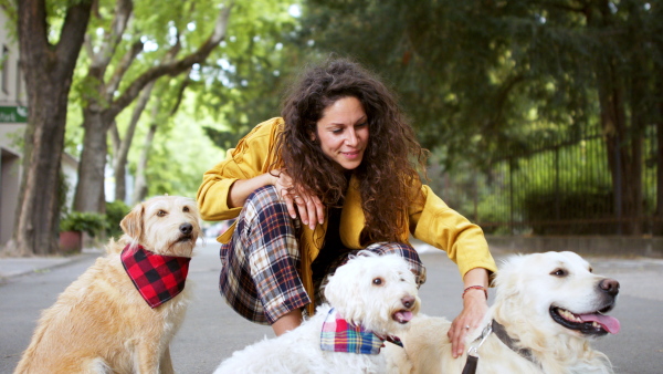 Front view of happy woman with three pet dogs outdoors in city, resting.