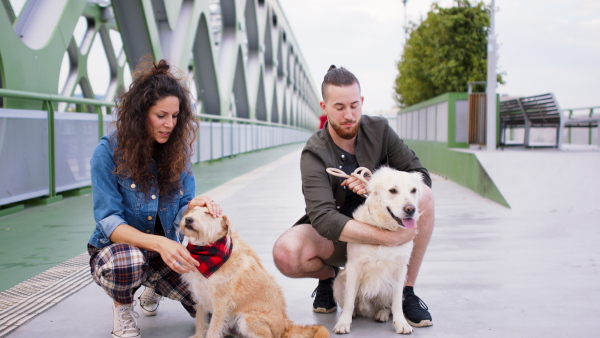 Portrait of cheerful man and woman with two pet dogs outdoors in city, talking.