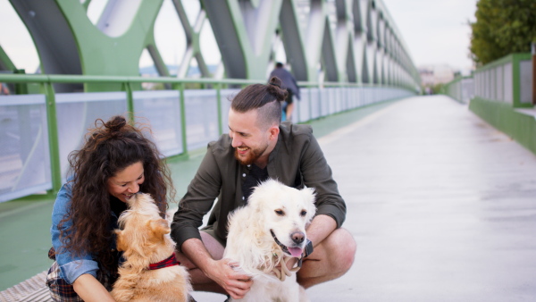 Portrait of cheerful man and woman with three pet dogs outdoors in city, laughing.