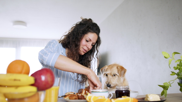 Portrait of woman with pet dog preparing breakfast indoors at home.