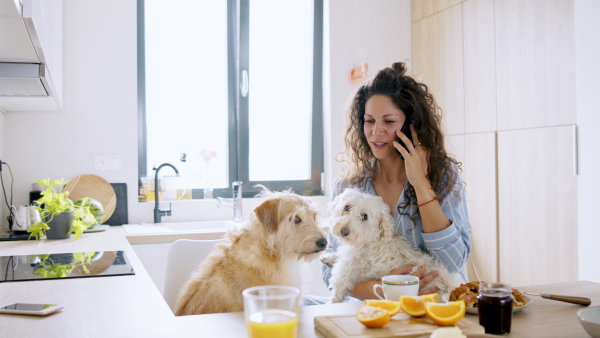 Front view of woman with two pet dogs using smartphone indoors at home, breakfast time.