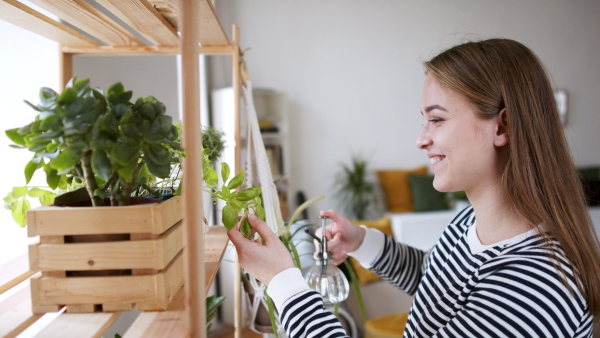 Side view of young woman spraying plants with water working at home, plant care concept.