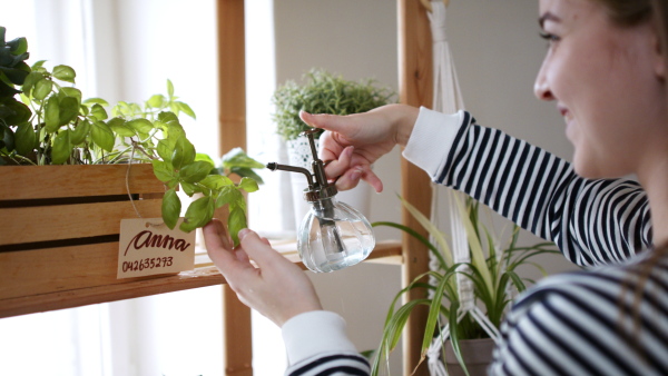 Side view of young woman spraying plants with water working at home, plant care concept.