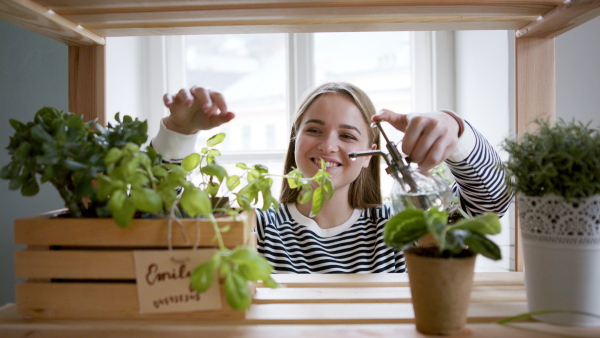 Young woman spraying plants with water working at home, plant care concept.