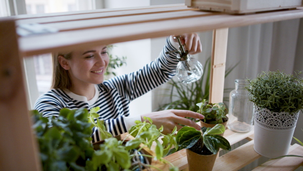 Young woman spraying plants with water working at home, plant care concept.