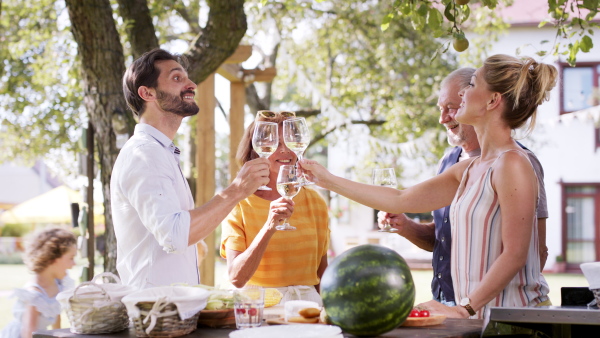 Large family on garden party doing a toast with wine, kids running around.