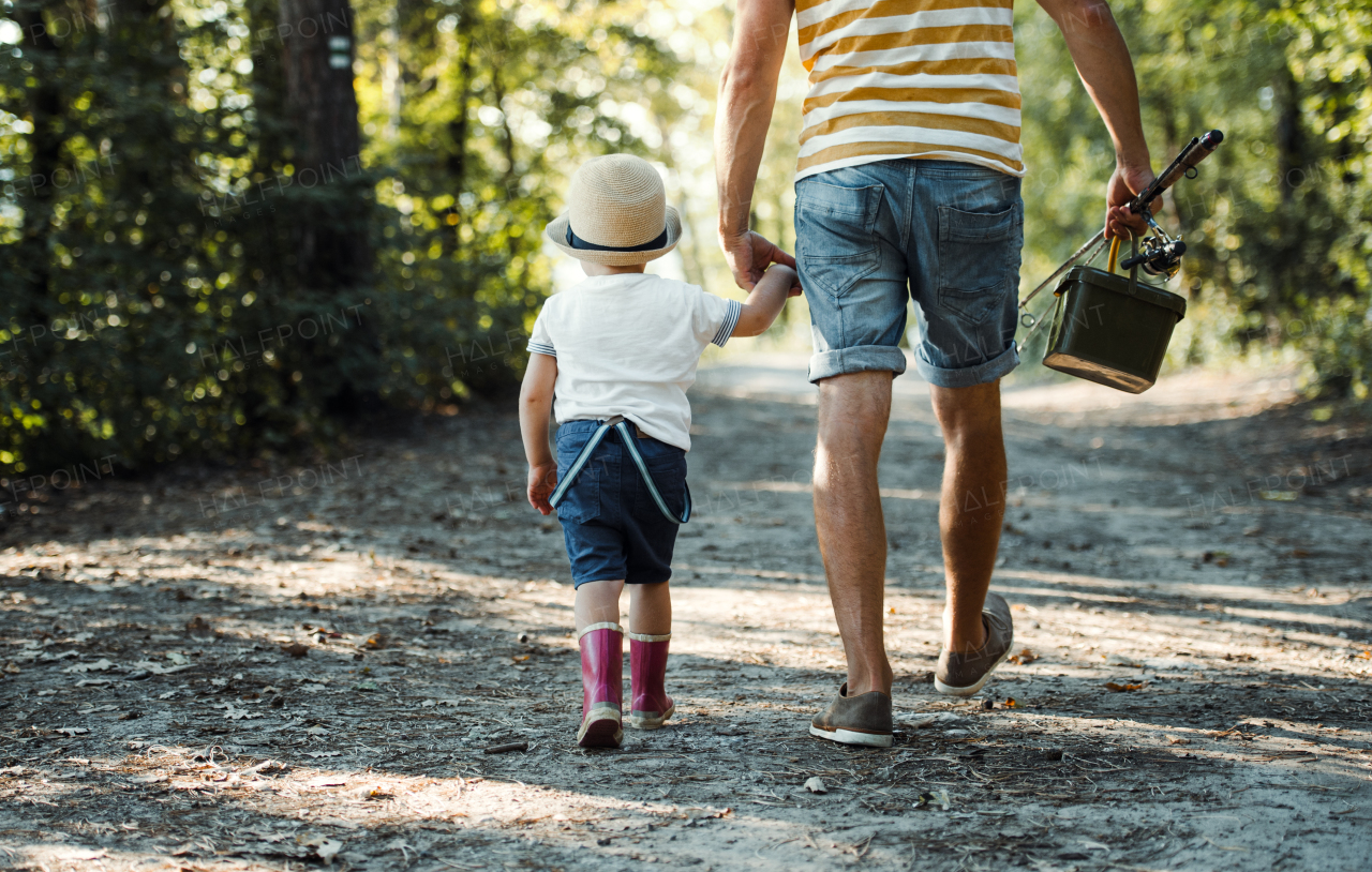 A rear view of father with a small toddler son walking on a path in wood, going fishing.