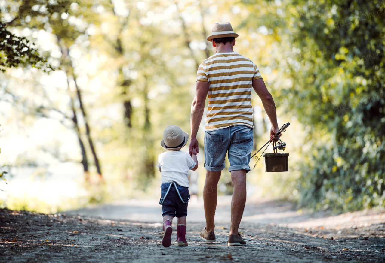 A rear view of father with a small toddler son walking on a path in wood, going fishing.