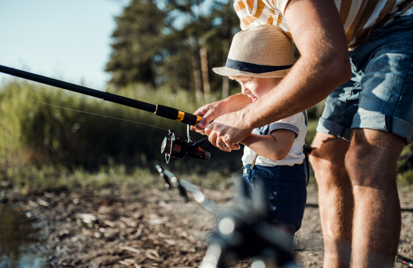 A midsection of father with small toddler boy fishing by a lake, holding a rod.