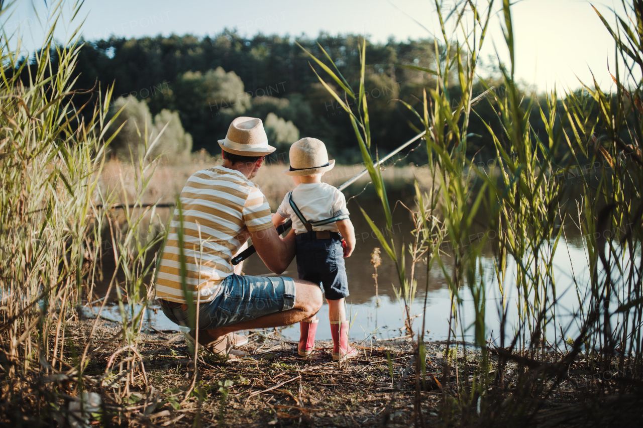 A rear view of mature father with a small toddler son outdoors fishing by a river or a lake.