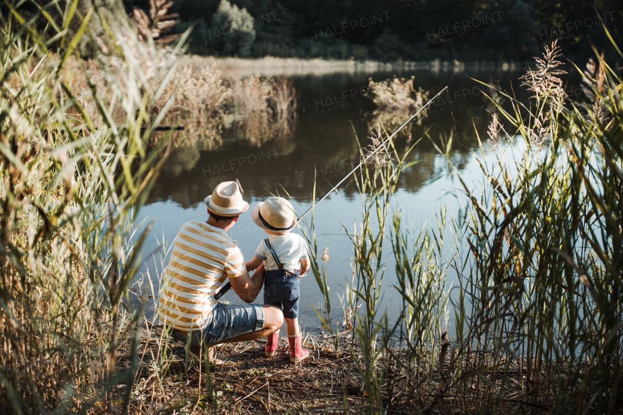 A rear view of mature father with a small toddler son outdoors fishing by a river or a lake.