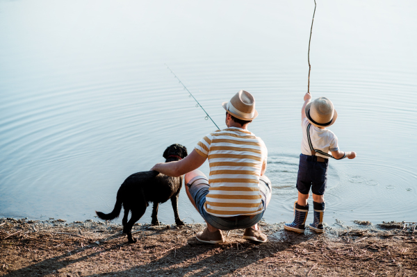 A rear view of mature father with a small toddler son and dog outdoors fishing by a river or a lake.