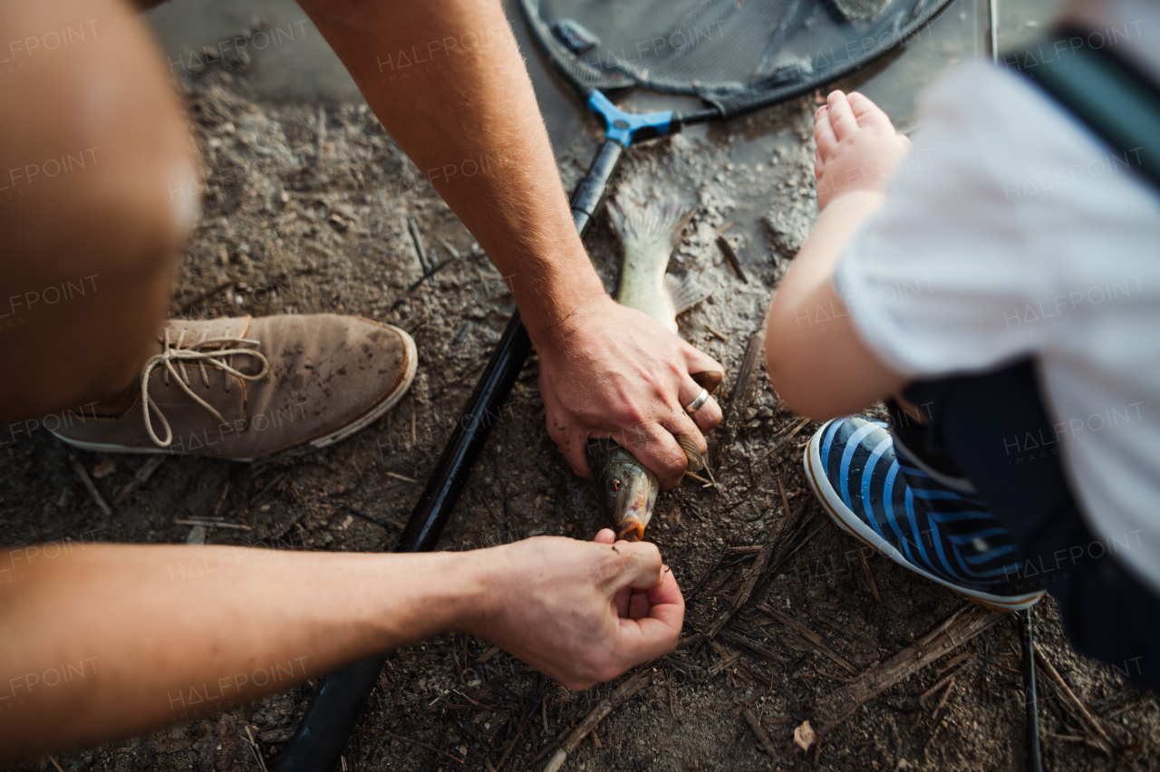 A midsection of father with small toddler boy fishing by a lake, holding a fish. A top view.