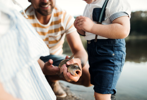 A mature father with small toddler children fishing by a river or a lake, holding a fish.